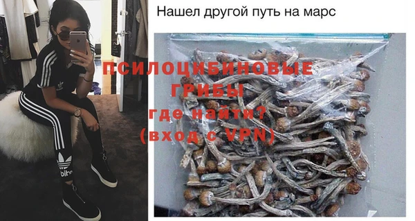 твердый Алексеевка