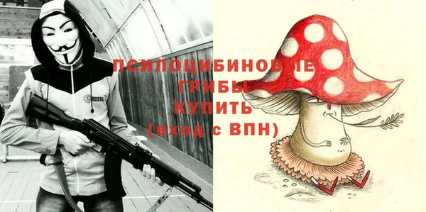 твердый Алексеевка