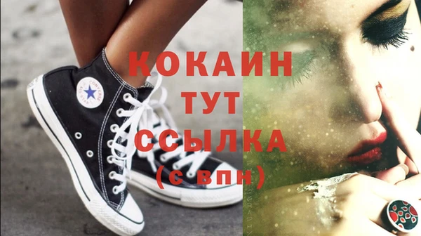 твердый Алексеевка