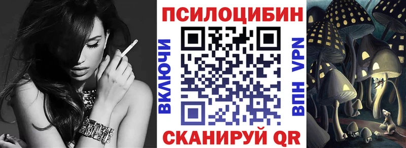 Купить закладки  Кириши  Галлюциногенные грибы MAGIC MUSHROOMS 