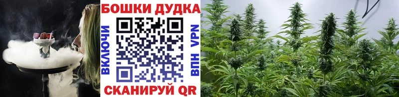 Купить  Кириши  Каннабис MAZAR 